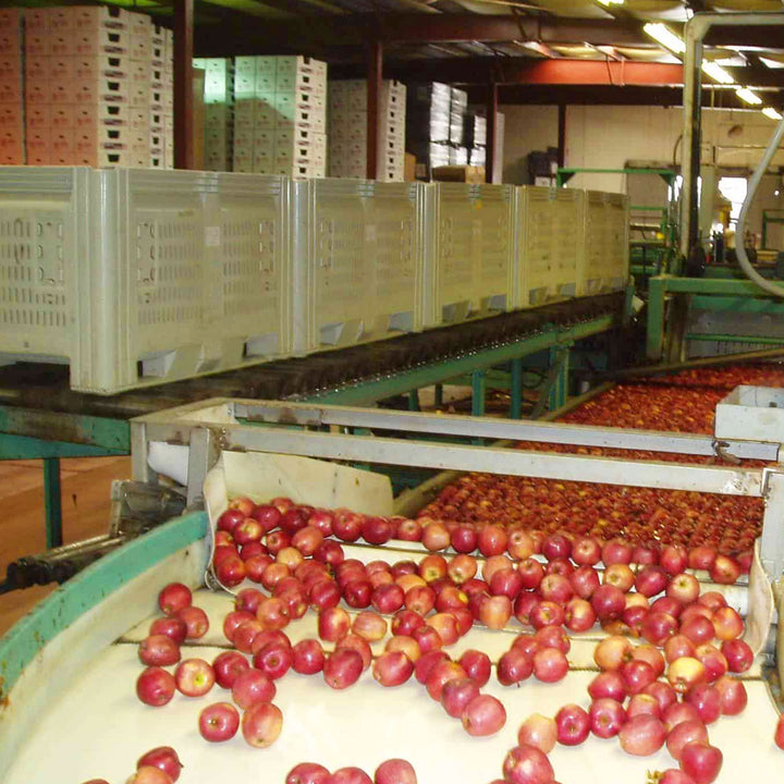 apple-processing-macrobin-harvest-bins