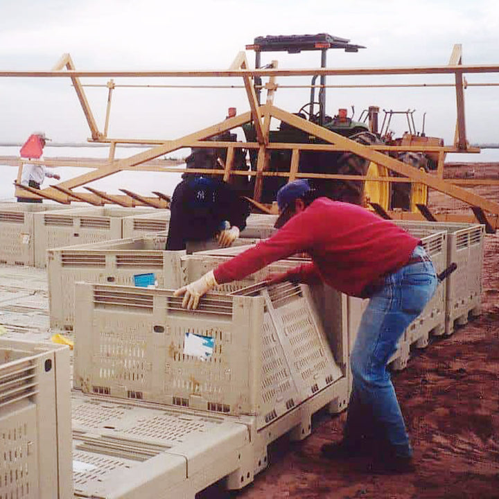 collapsible-harvest-bin