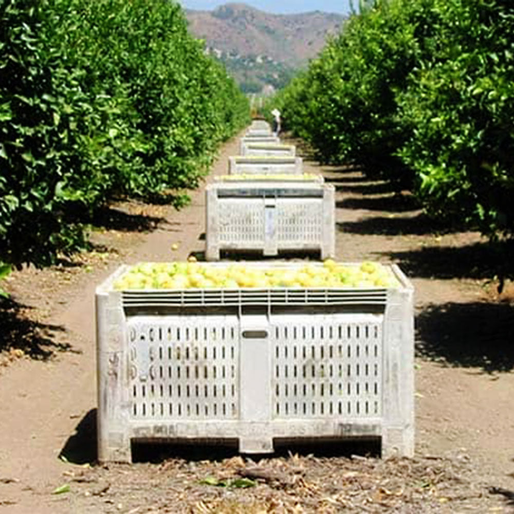 macro-bin-26FV-Limonera-Harvest