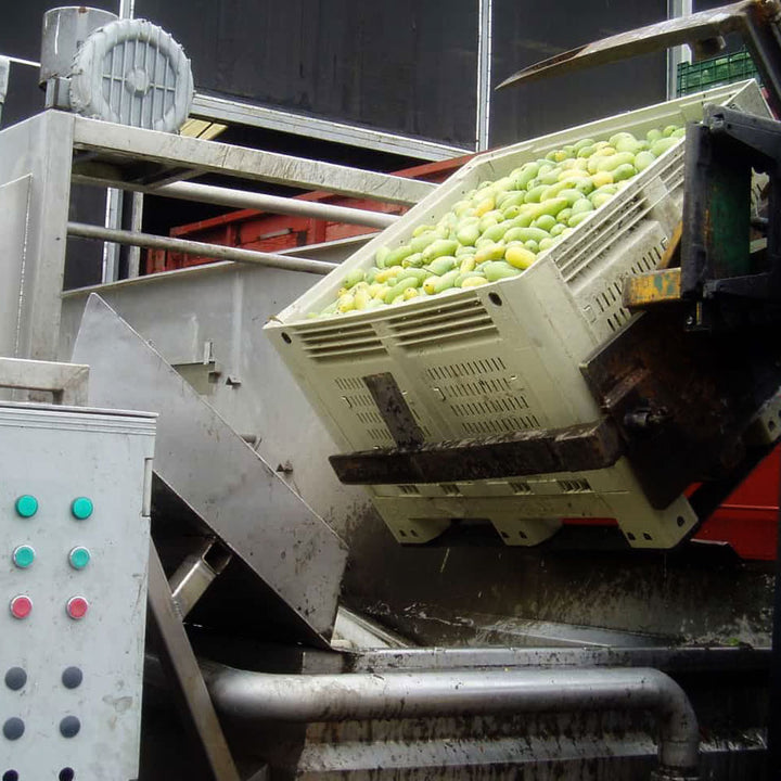 shuttle-bin-330-mango-food-processing