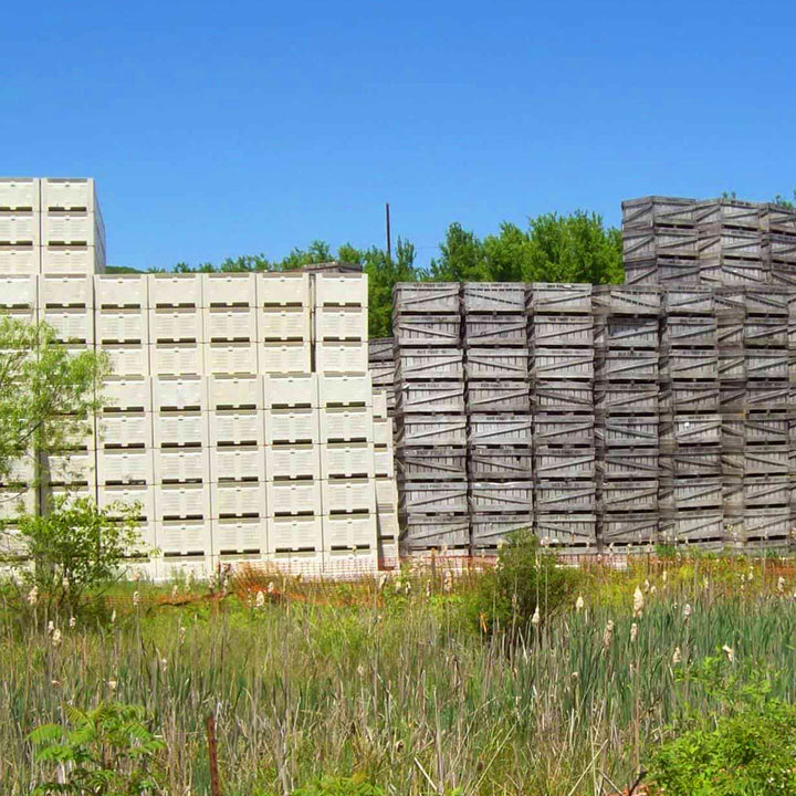 stacked-macro-harvest-bins-versus-wood-crates