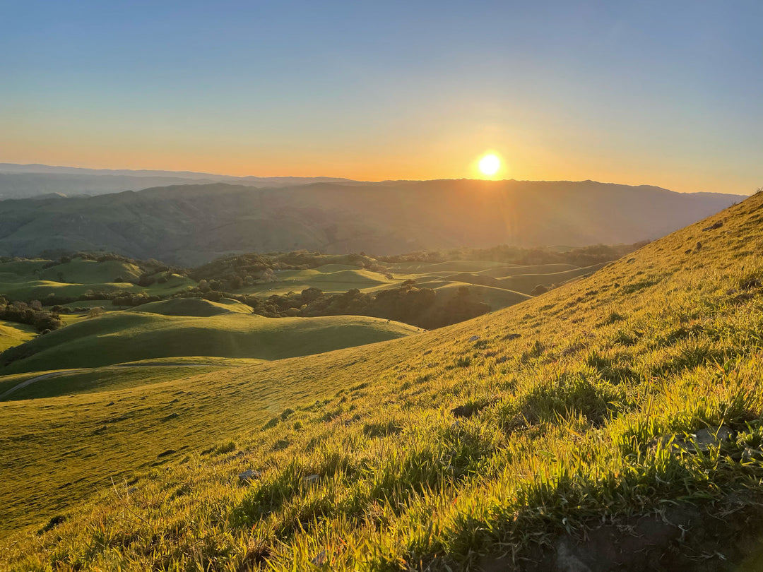 Sunrise view from Mission Peak. Sun peaks over the mountains and green hills—a symbol for appreciating a green planet. 